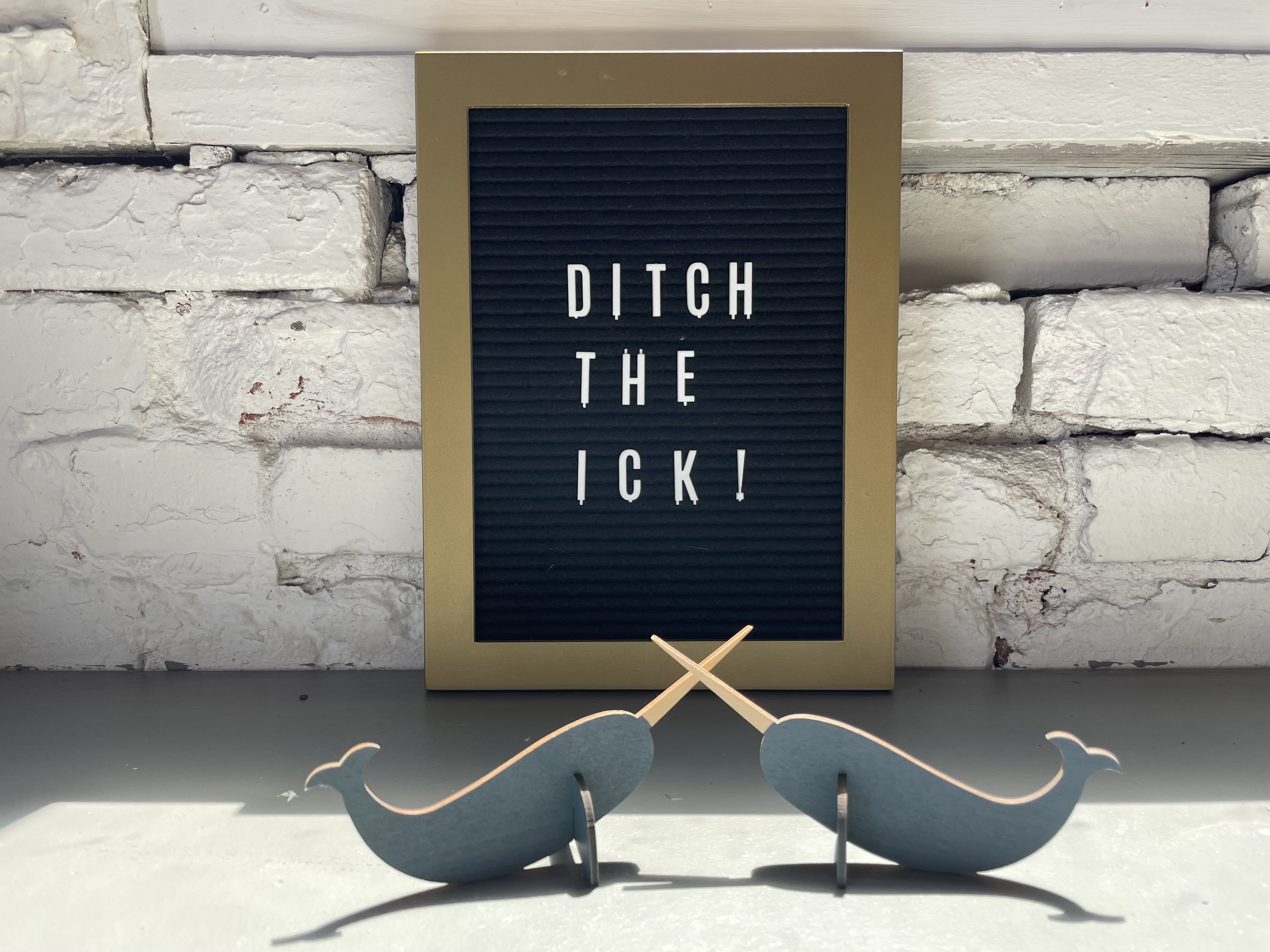 Letterboard reading Ditch the Ick